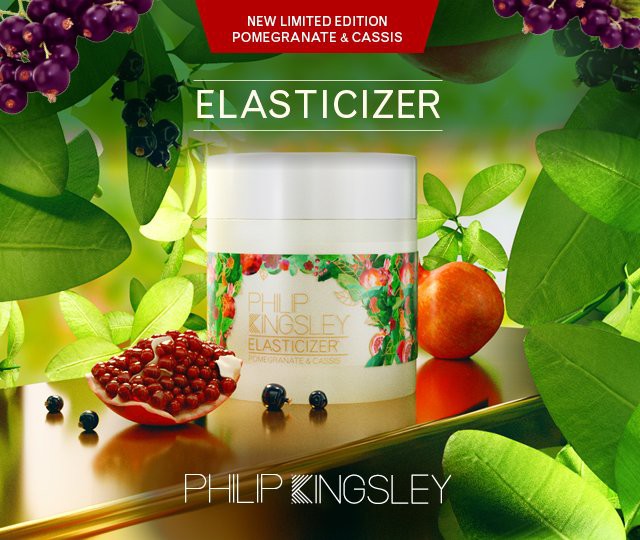 Philip Kingsley Pomegranate And Cassis Elasticizer