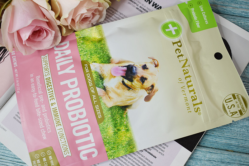 Pet Naturals of Vermont Daily Probiotic For Dogs