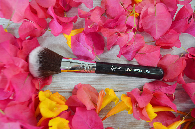 Sigma Large Powder Brush F30