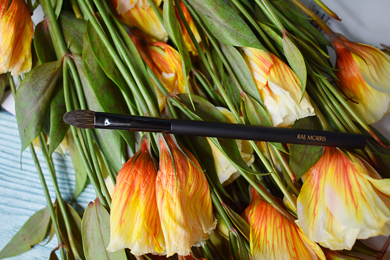 Rae morris Jishaku №11.1 Small Oval Shadow Brush