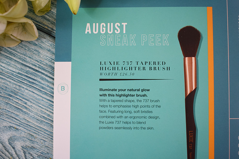 Luxie 737 Tapered Highlighting Brush