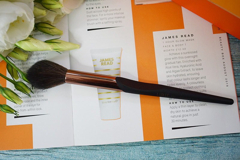 Luxie 737 Tapered Highlighting Brush 