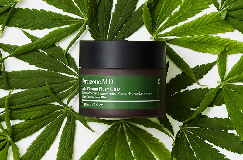 Perricone MD Cold Plasma Plus+ CBD Advanced Serum Concentrate