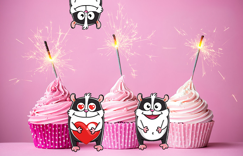 Розыгрыш подарков в честь дня рождения блога