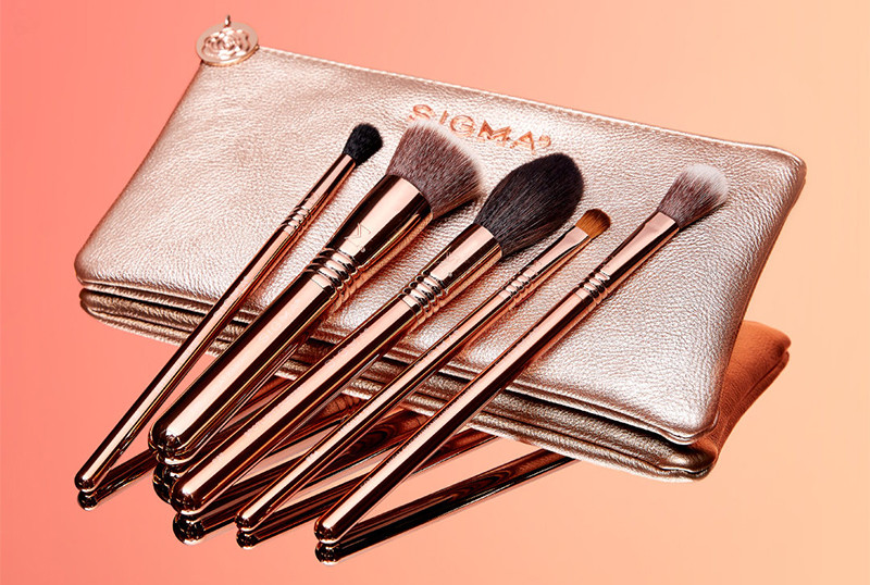 Sigma Beauty Iconic Brush Set