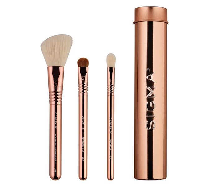Sigma Essential Trio Brush Set