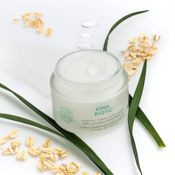 Dr. Brandt Cool Biotic Cream
