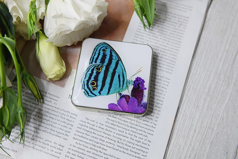 Chantecaille Butterfly Eye Quartet Chantecaille Butterfly Eye Quartet