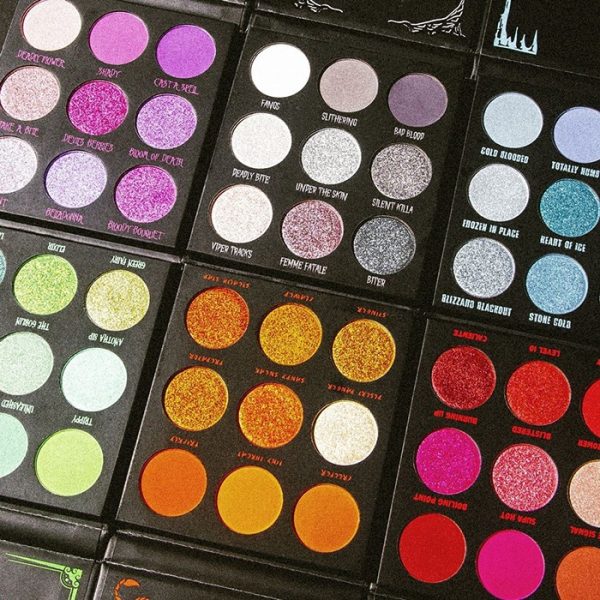 Палетки BH Cosmetics